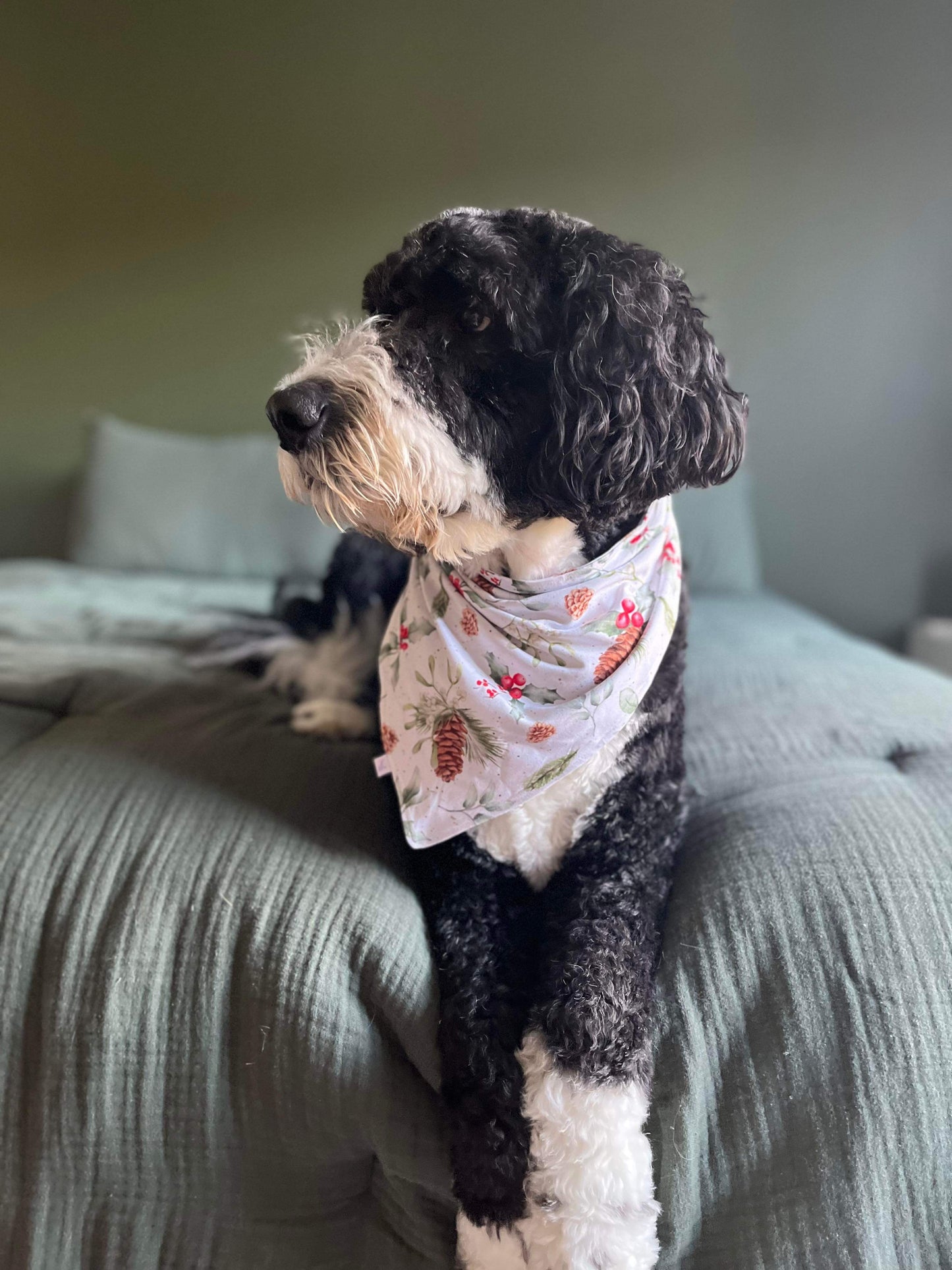 A Slumberly Holiday Pet Bandana