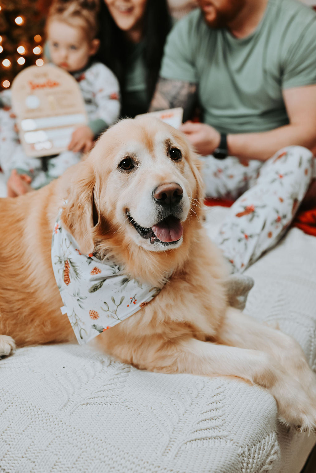 A Slumberly Holiday Pet Bandana