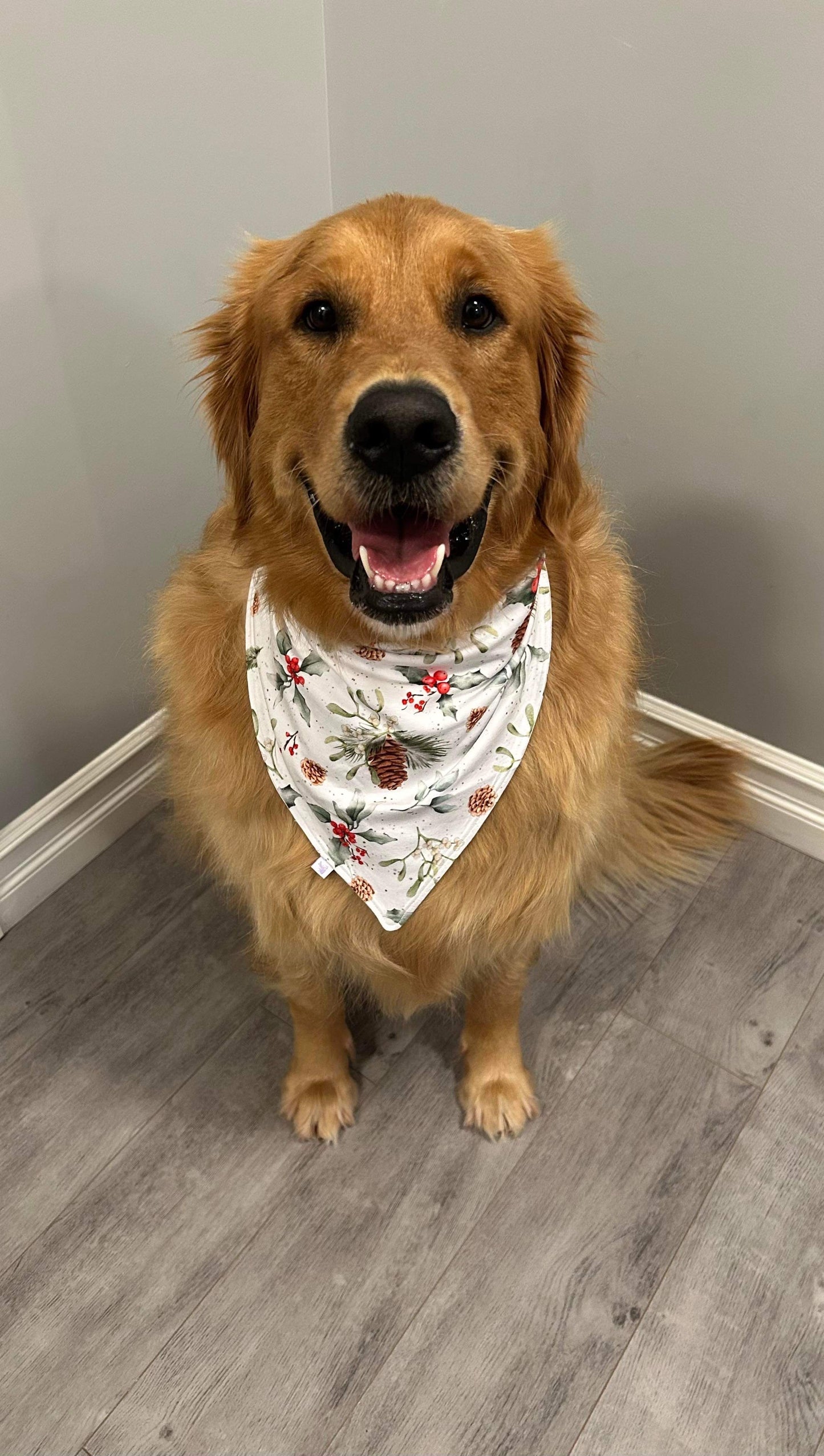 A Slumberly Holiday Pet Bandana